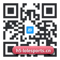 系统版 iOS 二维码